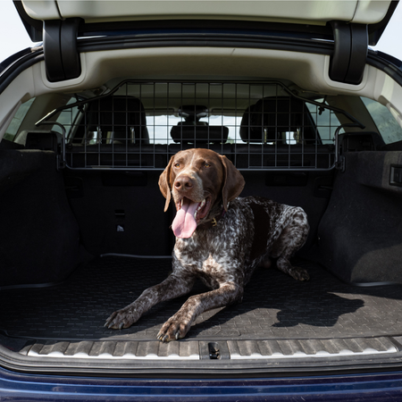So finden Sie das richtige Hundegitter für Ihr Auto