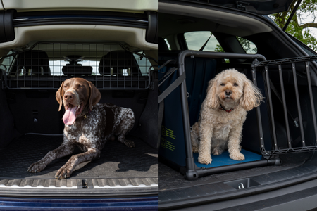 Hundegitter oder Hundetransportbox fürs Auto: Was ist die richtige Wahl für Sie und Ihren Hund?