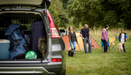 7 Tipps für die Sicherheit Ihrer Hunde bei Ihren Outdoor-Abenteuern