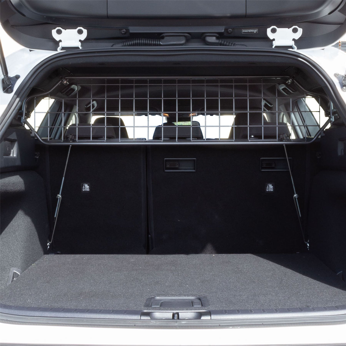 Suzuki Swace Hundegitter (2020-jetzt)