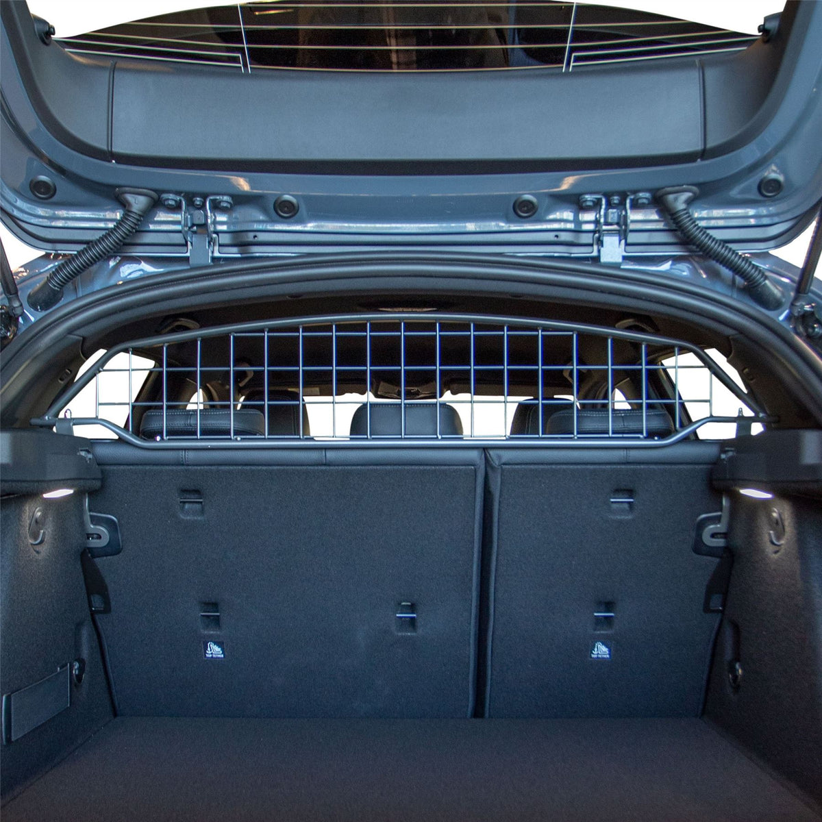 BMW 1 Series Hundegitter (2019-2024)