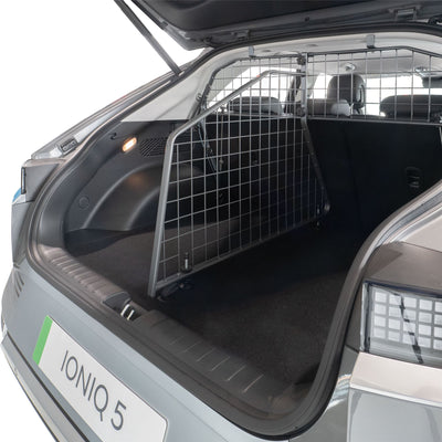 Hyundai IONIQ 5 Trenngitter (2021-jetzt)