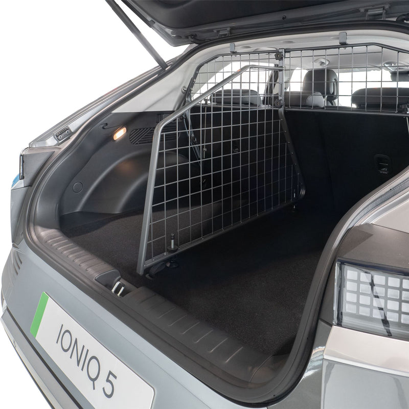 Hyundai IONIQ 5 Trenngitter (2021-jetzt)
