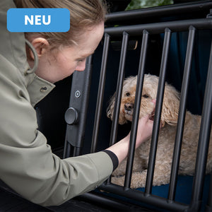Jetzt kaufen