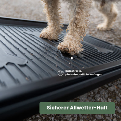 Hunde-Rampe
