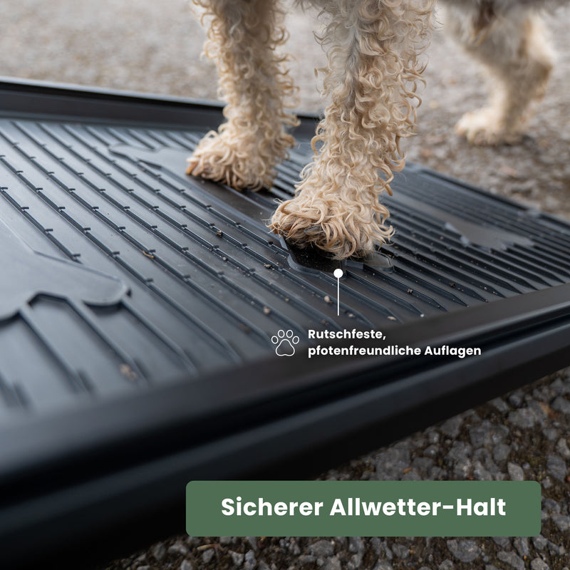 Hunde-Rampe