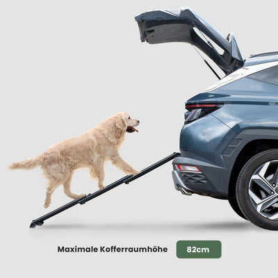 Hunde-Rampe