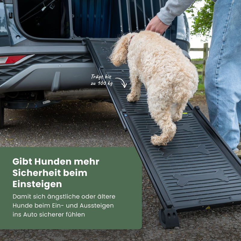 Hunde-Rampe