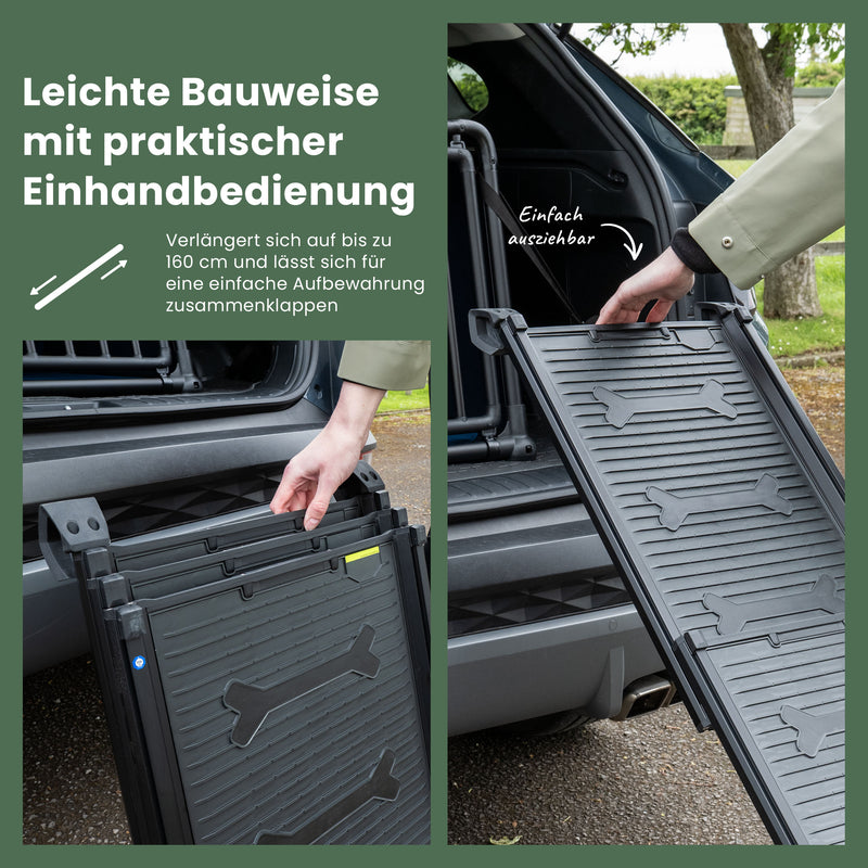 Hunde-Rampe