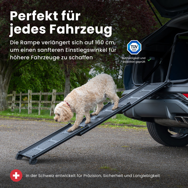Hunde-Rampe