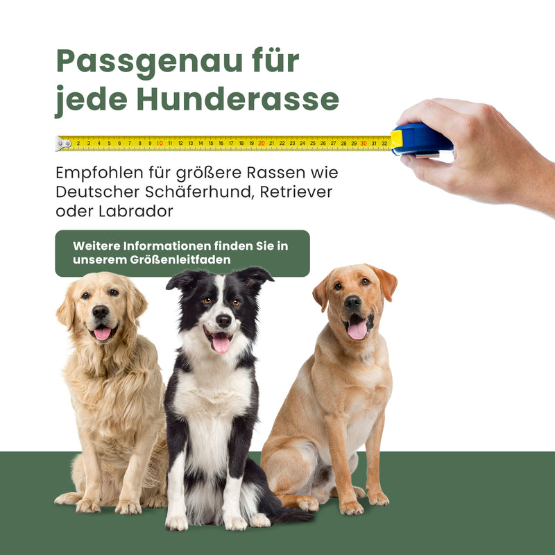 Travall-Hundetransportbox