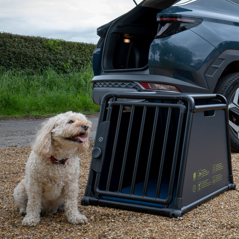 Travall-Hundetransportbox