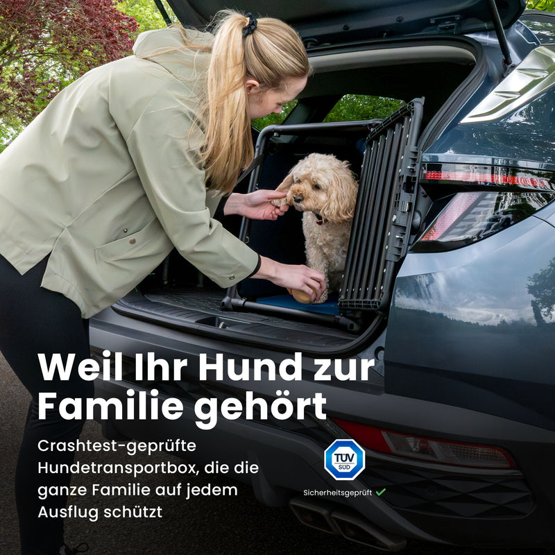 Travall-Hundetransportbox