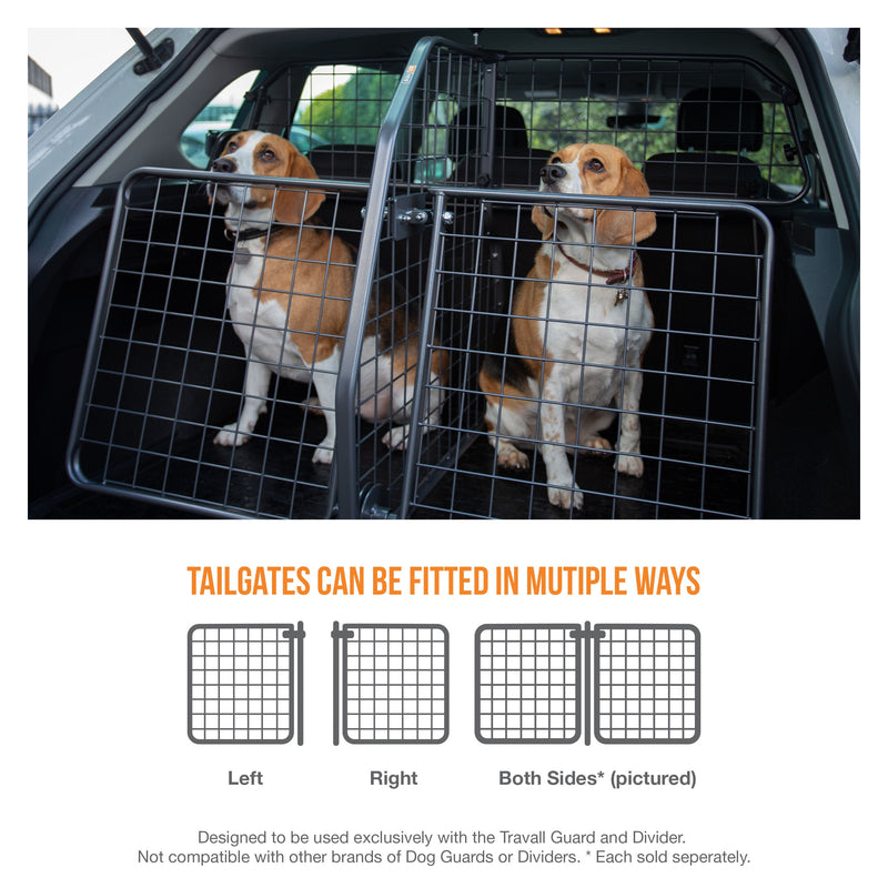 Nissan Ariya Heckklappe (ab 2022)