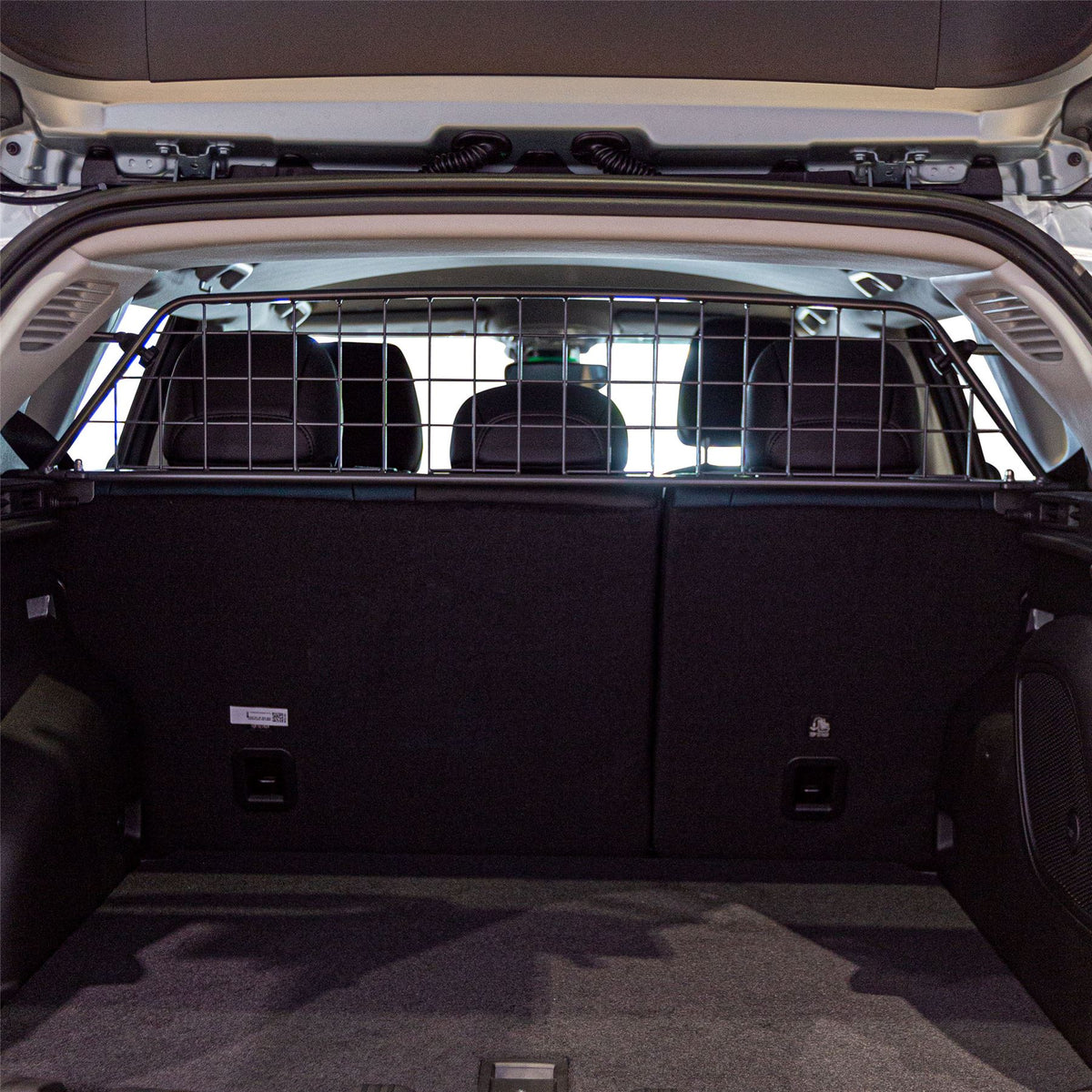 Jeep Compass Hundegitter (2020-jetzt)