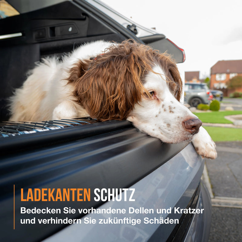 Renault Trafic Ladekantenschutz (2014-jetzt)