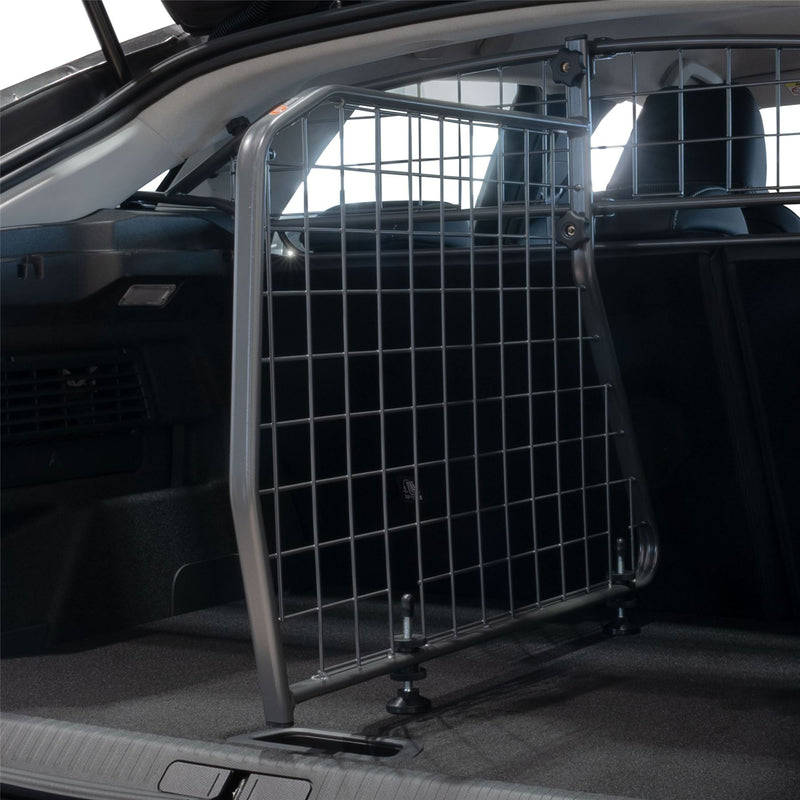Citroen C4 Trenngitter (2020-jetzt)